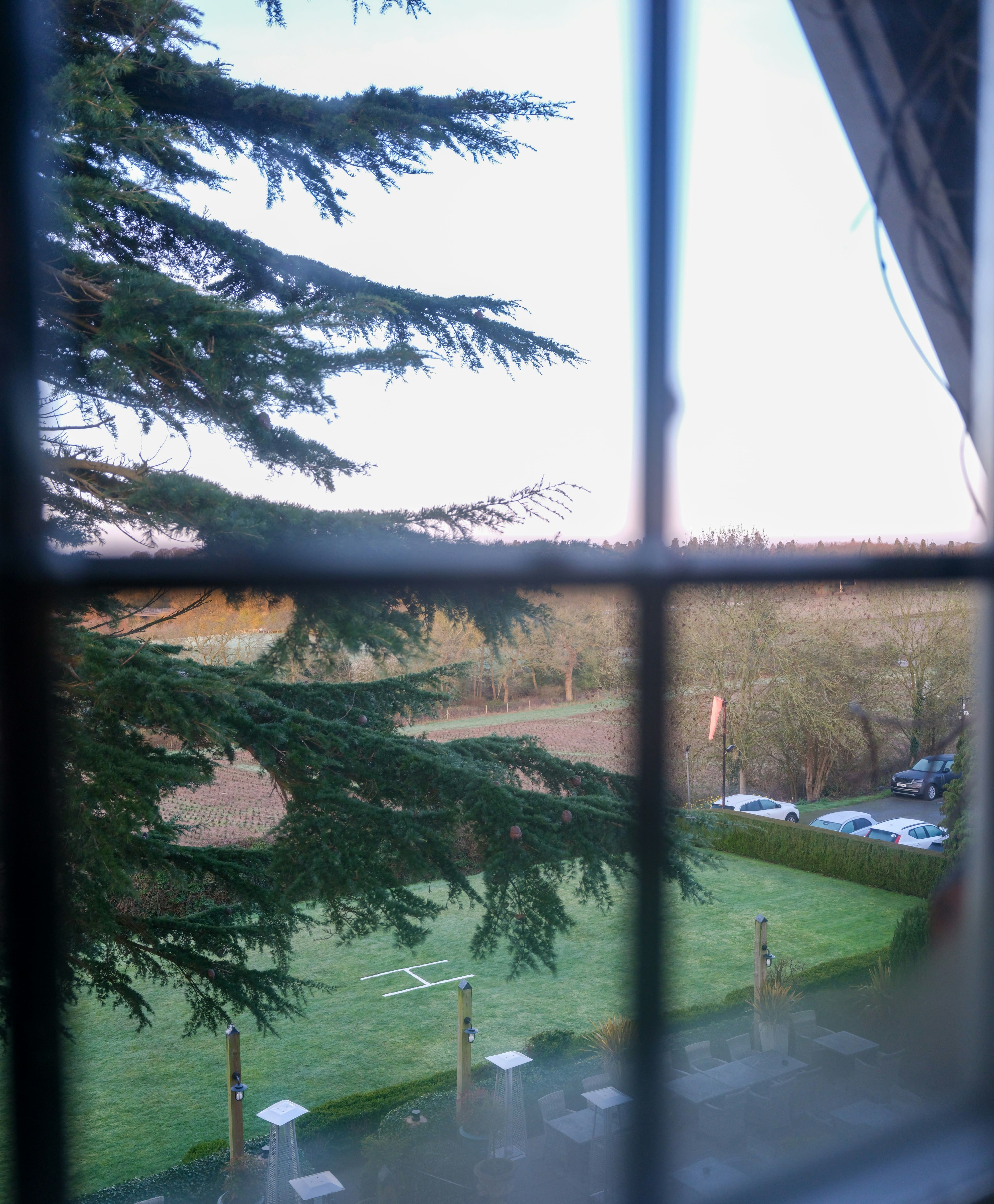 Vue depuis la fenêtre à petits carreaux de la chambre Figuier : branches de cèdre, pelouse et campagne au lever du jour