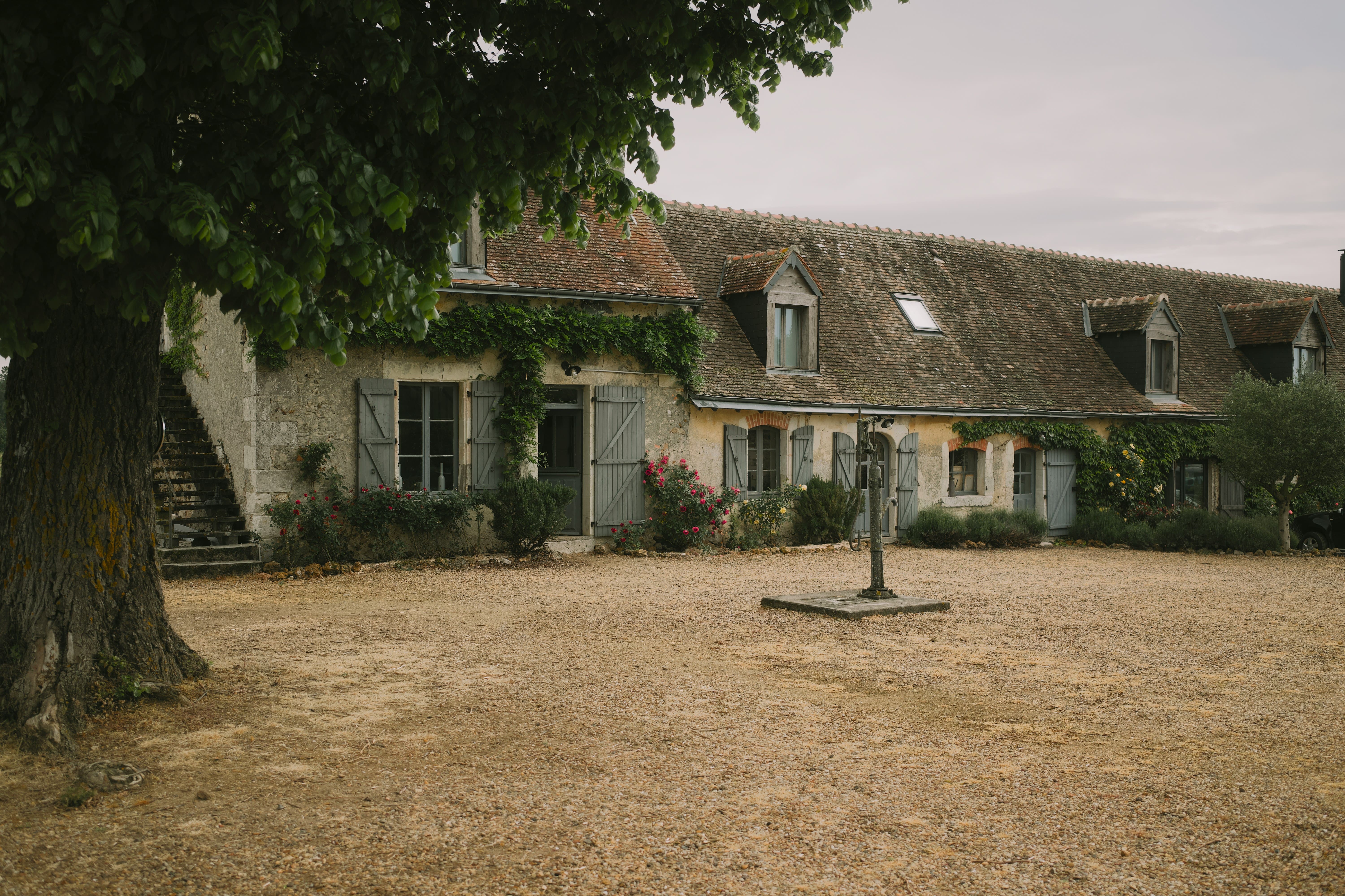 Façade du mas en pierre aux volets gris-bleu, couverte de vigne vierge et bordée de rosiers, avec sa cour de gravier, une ancienne pompe à eau et un grand arbre au premier plan